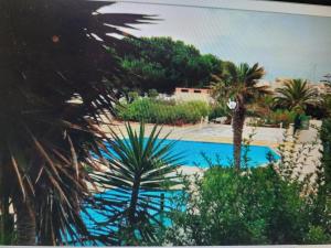 STUDIO CAP D AGDE VUE PORT