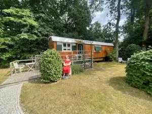 Zirkuswagen am Landhaus Labes (Stechlinsee) - 新格洛布索