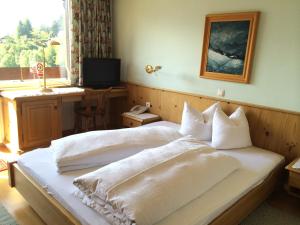 Double Room room in Hotel Daneu