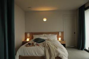 El Faro Unkempt - Tazones