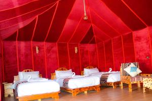 Relaxing Desert Camp