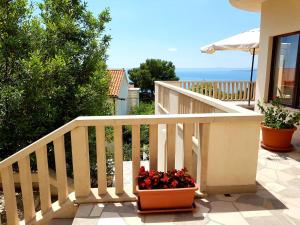 Apartmani Mira & Nikola