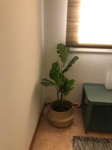 Apartamento recién reformado con vistas al río