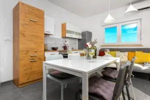 Brodarica Apartment Near the Beach - Spacious 2-Bedroom Penthouse with Large Terrace - Ražine