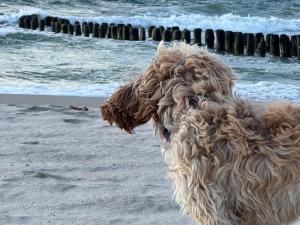 Apartamenty Sunrise Kolobrzeg Podczele