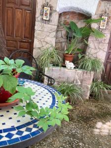 Patio Granada