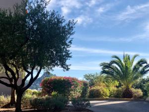 Grand studio à Hyères entre mer et ville