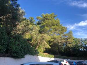 Grand studio à Hyères entre mer et ville