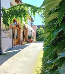 Agriturismo MELO IN FIORE con camere e colazioni nella zona del Prosecco DOCG Asolo