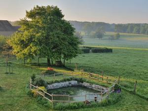 Villas Bassin aux nenuphars : photos des chambres