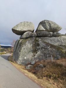 Maisons de vacances gite de la butte aux oiseaux : photos des chambres