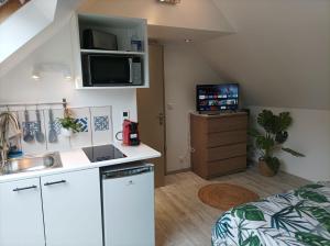 Appartements LE NID 2 QUIMPER BY Nid'Ouest : photos des chambres