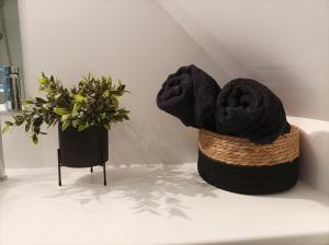 Appartements LE NID 2 QUIMPER BY Nid'Ouest : photos des chambres