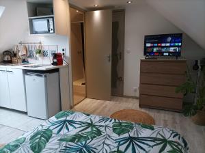 Appartements LE NID 2 QUIMPER BY Nid'Ouest : Studio