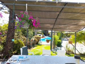 Villa Casa das Palmeiras