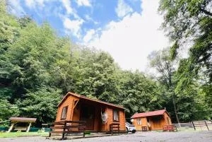 Sound of Nature Tismana - Tismana