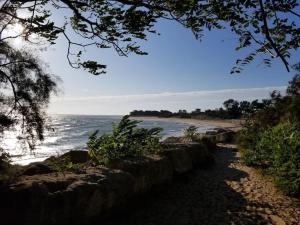 Villas Le Clos des Cytes a 50m de la plage : photos des chambres