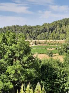 Charmante demeure au cœur de la provence verte