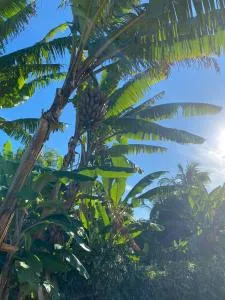 LES GÎTES DE BIBINE gîtes tout confort coin calme et tranquille - Beauregard