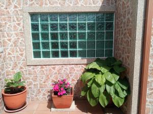 Casa con jardín en primera línea de playa