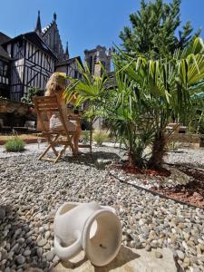 Appartements Le Papillon de la Cathedrale - Calme - Jardin - Wifi : photos des chambres