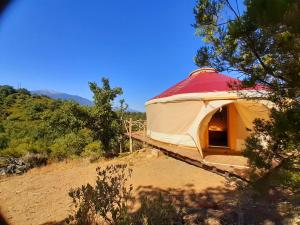 Tentes de luxe Yourte contemporaine avec magnifique vue sur les montagnes : photos des chambres