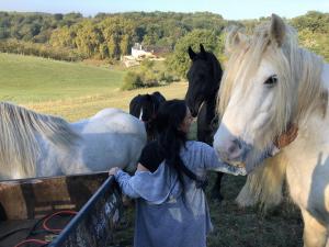 B&B / Chambres d'hotes Chateau de Valette : photos des chambres