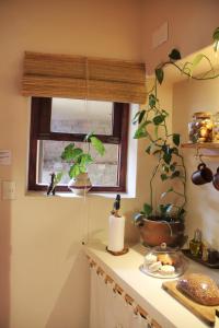 Apartamento en el vivero