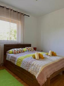 Apartment Imela