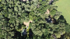 Vakantiewoning De Kleine Duinberg - Chalet Nr 9