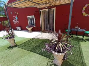 Home Benitez Pizarra