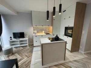 HIGH STANDARD APARTMENT GDYNIA