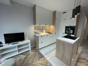 HIGH STANDARD APARTMENT GDYNIA