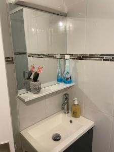 Appartements Appartement 10 min Stade de France coupe du monde de Rugby : photos des chambres