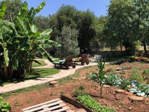 Tiny house kayaköy kumquat