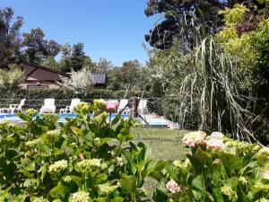 Complejo de Cabañas Villapaz