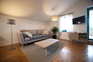 Modra Luna- apartment with terrace 