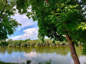 Guesthouse ob Sotočju Budič