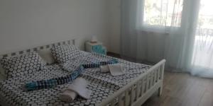 Apartment Hajduk