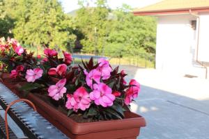 Бадевски рай-къща Надежда