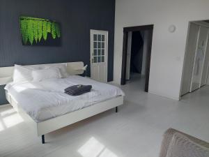Bed & breakfast in monumental house maastricht centre