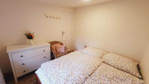 Apartmán U Profesora