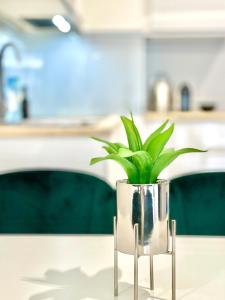 Modern Green Apartment