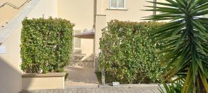 Casa con 2 Camere da Letto
