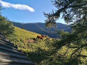 Karavanke mountain hut 