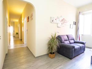 Sweet Dreams - MORADA