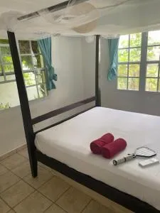 Akunamatata Guest House Grand Case - Anse Marcel 