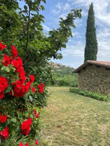 La casa dei caprioli appartamento in casale