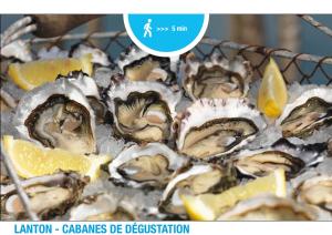 Appartements LANTON PLAGE - APPARTEMENT 6 PERS. TERRASSE : photos des chambres