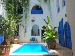 Riad Chameleon
